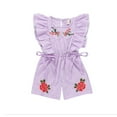 thumbnail image 1 of Coduop Toddler Kid Baby Girl Flower Stripe Ruffle Romper Jumpsuit 1-5 Years, 1 of 1