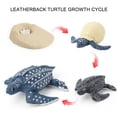 thumbnail image 1 of Daisyyozoid 4 Piece Insect Figure Animal Life Cycle Plastic Brood To Mature Period, 1 of 3