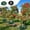 Black,Green, variant on 15 Gallon Tree Watering Ring Bag, PVC Drip Irrigation Water Pouch Automatic Drip System, Watering Donuts for Trees, Deep Root & Low-Profile Slow Release Watering Bag