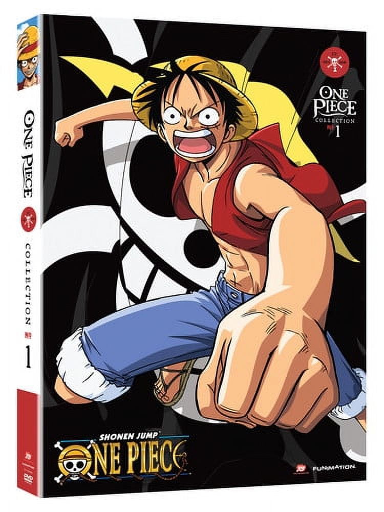 New One Piece: Collection 25 (DVD) - Walmart.com