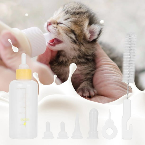 Bouteille pour Animaux,Kits de Biberons pour Animaux de Compagnie Biberon  de Remplacement pour Chatons pour Chatons -NéS, Chiots, Petits Animaux,  Tétines et Brosse à Nettoyer (60ml) : : Animalerie