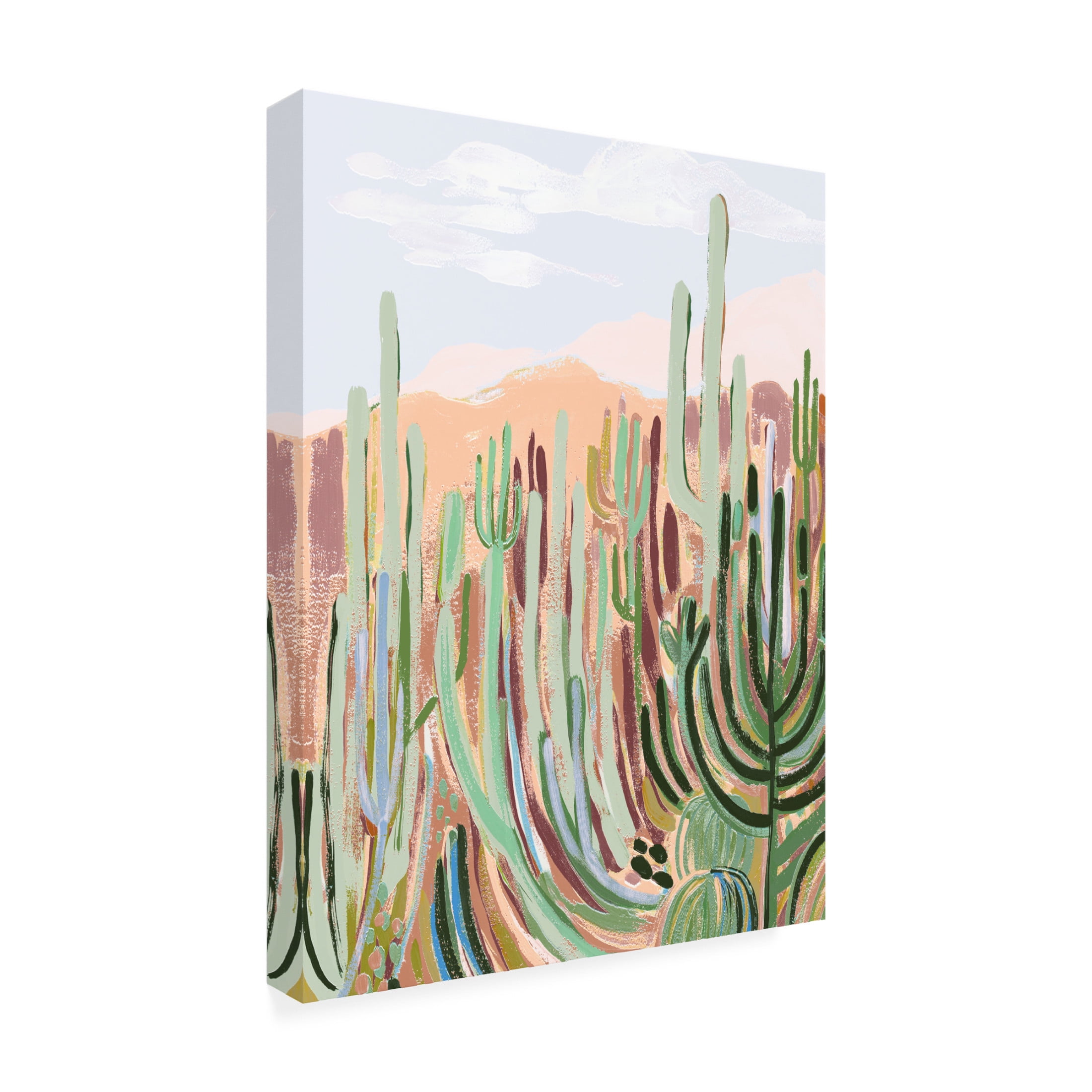 Trademark Fine Art Laura Marr  Warm Sunbaked Desert I Canvas Wall Art