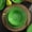 Green, variant on Vintage Crackle Melamine Dinnerware Sets, 12 Piece Plates and Bowls Sets, Great for Camping, RV. Durable and Chip Resistant Farmhouse Dishes Set, Service for 4