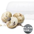 thumbnail image 3 of Reptile Breeding Box Reptile Lizard Incubation Box Hatchery Box Container, 3 of 8