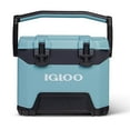thumbnail image 1 of Nevera Igloo BMX Celadon 25 L, 1 of 6