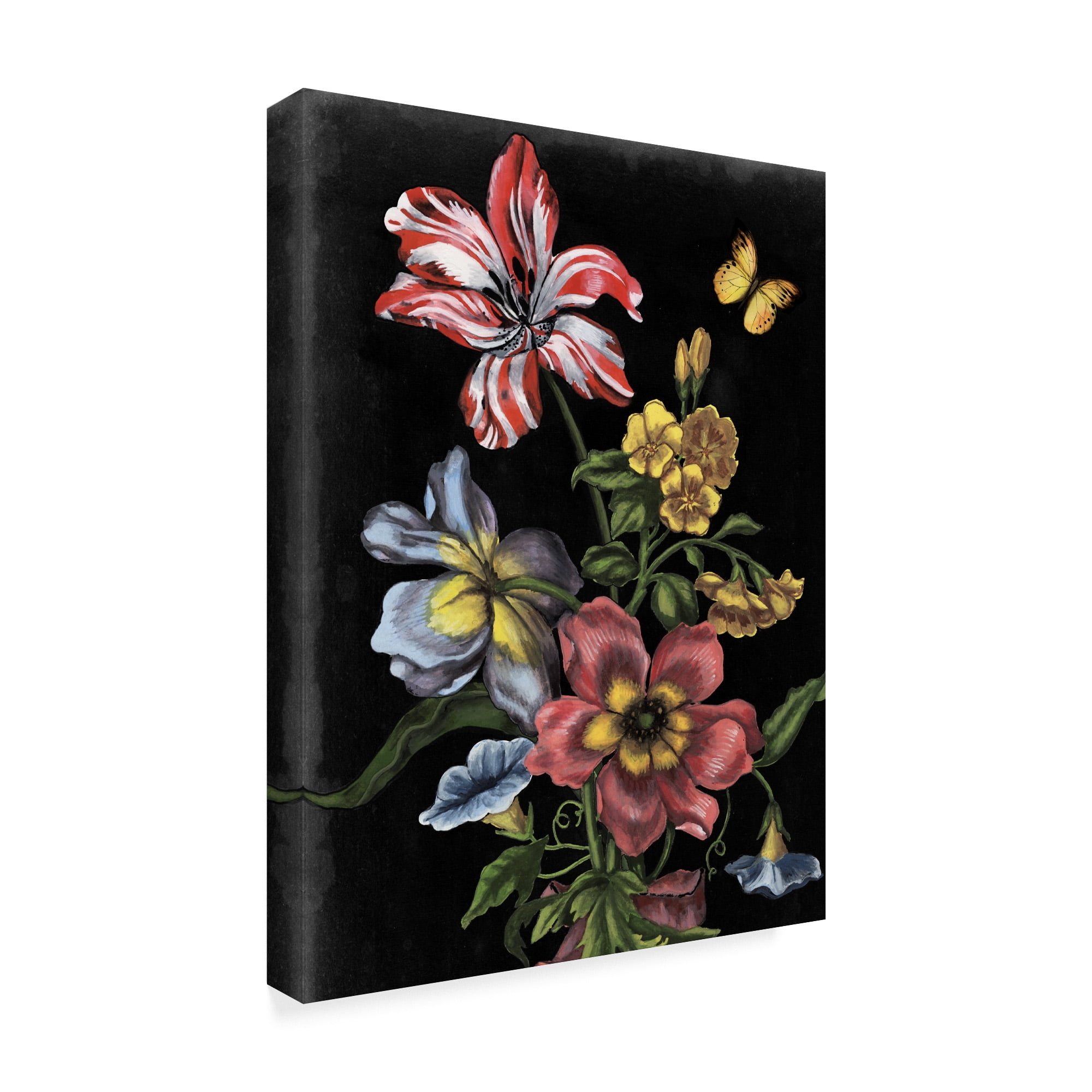 Trademark Fine Art 'Dark Floral I' Canvas Art by Naomi McCavitt