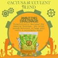 thumbnail image 3 of Organic Mechanics Cactus and Succulent Blend Potting Soil, 8qt, 3 of 4
