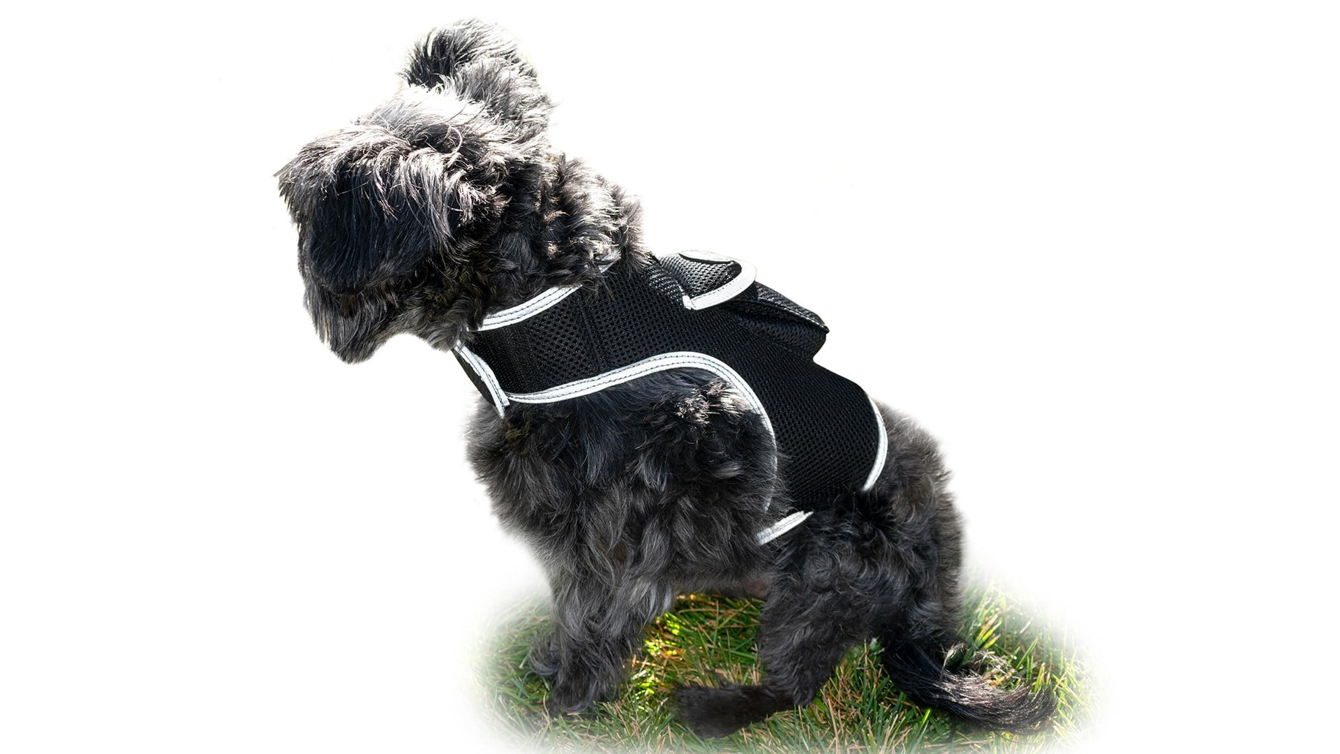 Mini GPS Cat Tracker Waterproof Collar Mount Realtime Tracking Device Size:XL