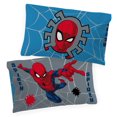 thumbnail image 4 of Marvel Spider-Man Ensemble de Literie 4 Pièces pour Lit 1 Place + En Prime un Sac, 4 of 4