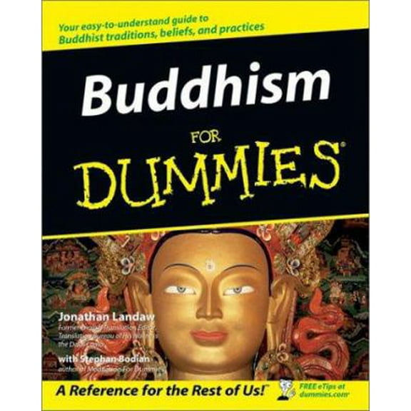 Pre-Owned Buddhism for Dummies (Paperback) 0764553593 9780764553592