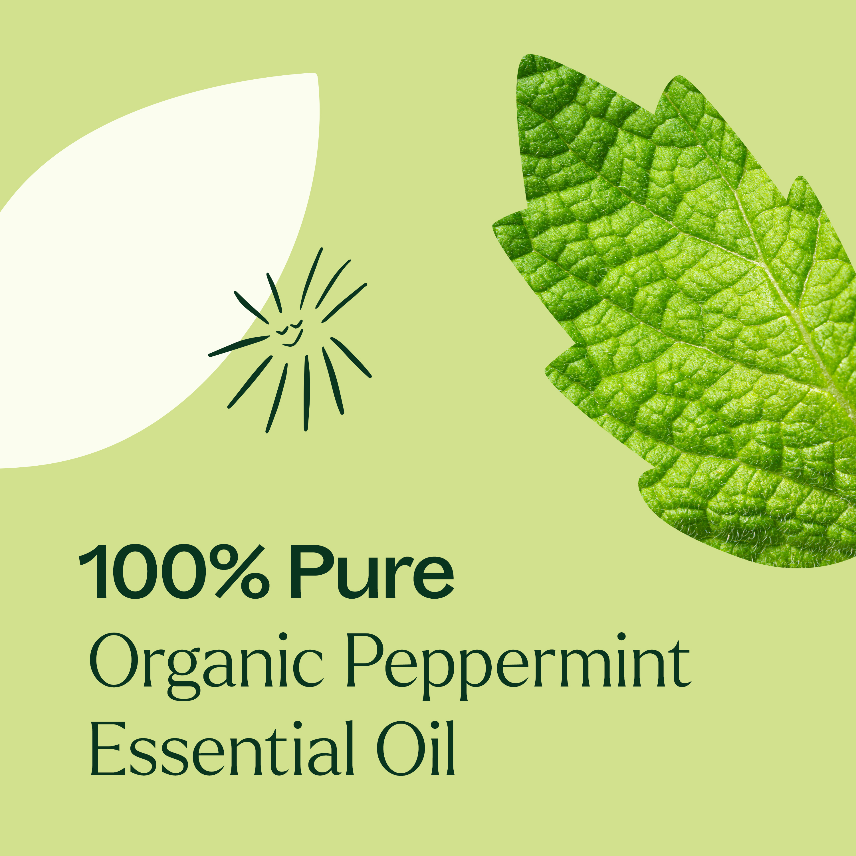 Plant Therapy Organic Peppermint Essential Oil, 100% Pure, USDA Certified Organic, for Diffusion, Skin, Hair, 30 mL (1 oz)