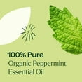 thumbnail image 5 of Plant Therapy Organic Peppermint Essential Oil, 100% Pure, USDA Certified Organic, for Diffusion, Skin, Hair, 30 mL (1 oz), 5 of 8