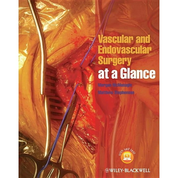 At a Glance Vascular and Endovascular Surgery at a Glance, (Paperback)