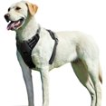 thumbnail image 1 of For Large Dogs Anti Pull Harness No Pull Safety Harness Dogs Chest Harness Soft Padded Breathable, Black, M, 1 of 5