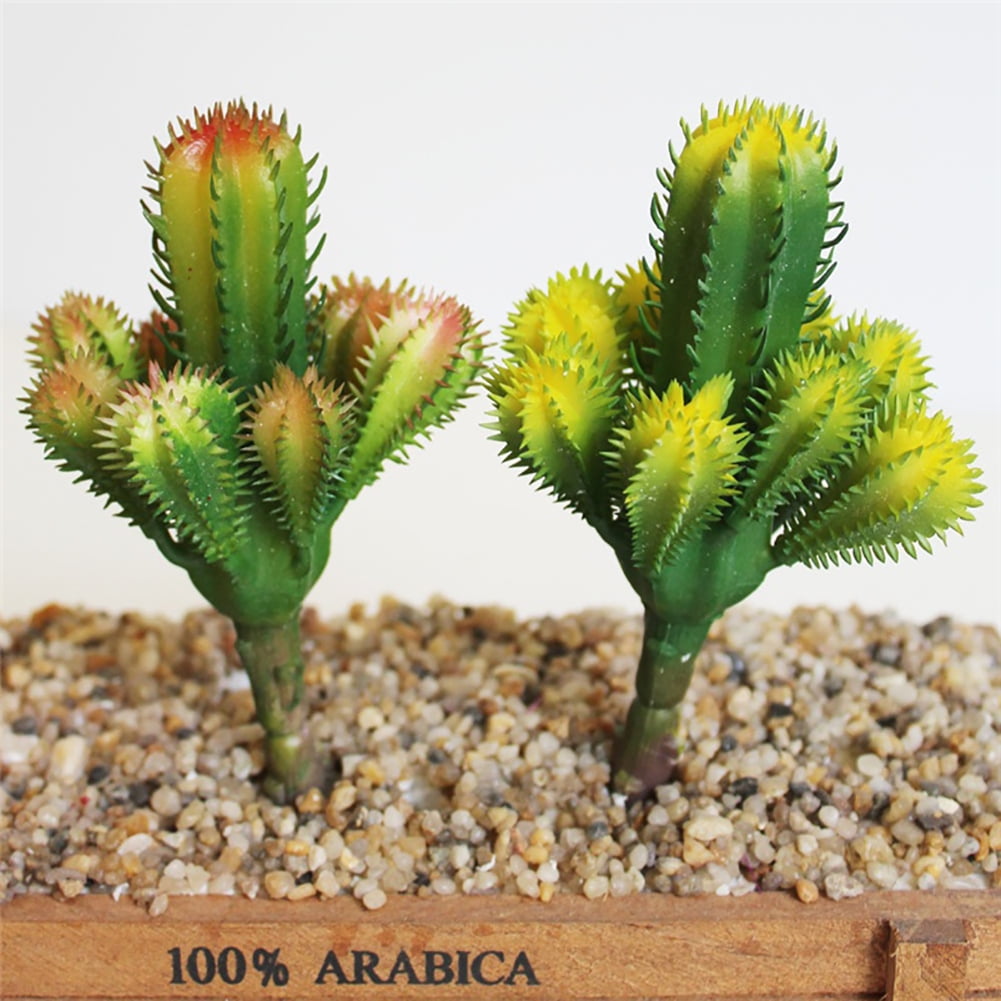 cactus Home Garden Bonsai decoration plants cactus Home Garden Bonsai decoration plants
