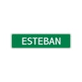 thumbnail image 1 of Esteban Boy Children Name Letter Printed Label Indoor Outdoor Wall Plaque Decoration Aluminum Metal Sign 4"x18", 1 of 1