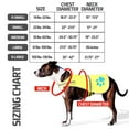 thumbnail image 4 of Chaleco reflectante para perro, chaqueta reflectante, estampado reflectante para exteriores, tela Oxford impermeable, 4 of 5