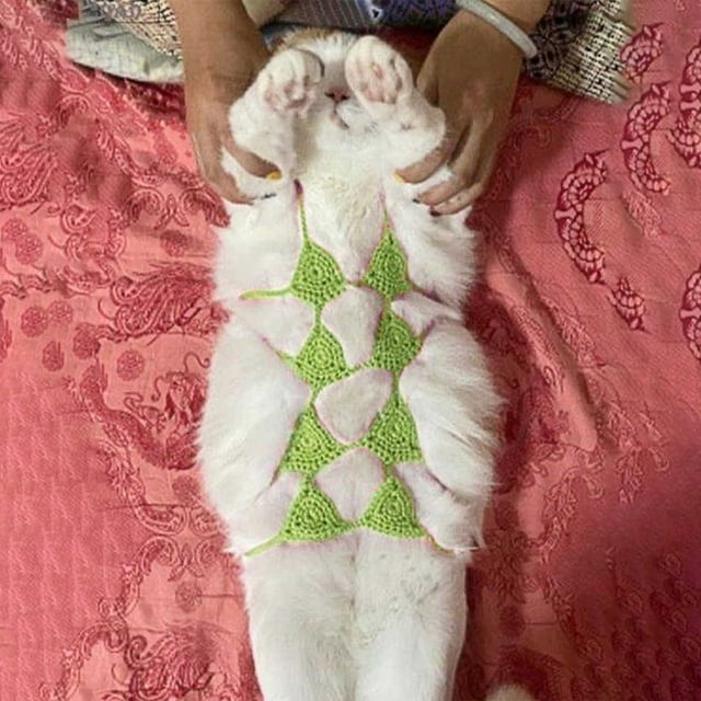 Pet Cats Bikini Handcrafted Cats Costume Funny Pet Clothes Small Dog Costumes Clothes