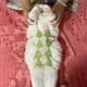 thumbnail image 1 of Xihbxyly Ofertas de Caja Abierta Liquidación Devoluciones En Almacén Traje de Baño para Gatos, Ropa para Mascotas, Disfraces Hechos a Mano, Ropa Divertida para Mascotas, Disfraces para Perros Pequeño, 1 of 7