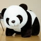 thumbnail image 1 of Panda de peluche Kawaii de 20cm, almohada encantadora con hojas de bambú, oso de Animal de peluche suave, bonito regalo de cumpleaños para niños Fivean unisex, 1 of 2