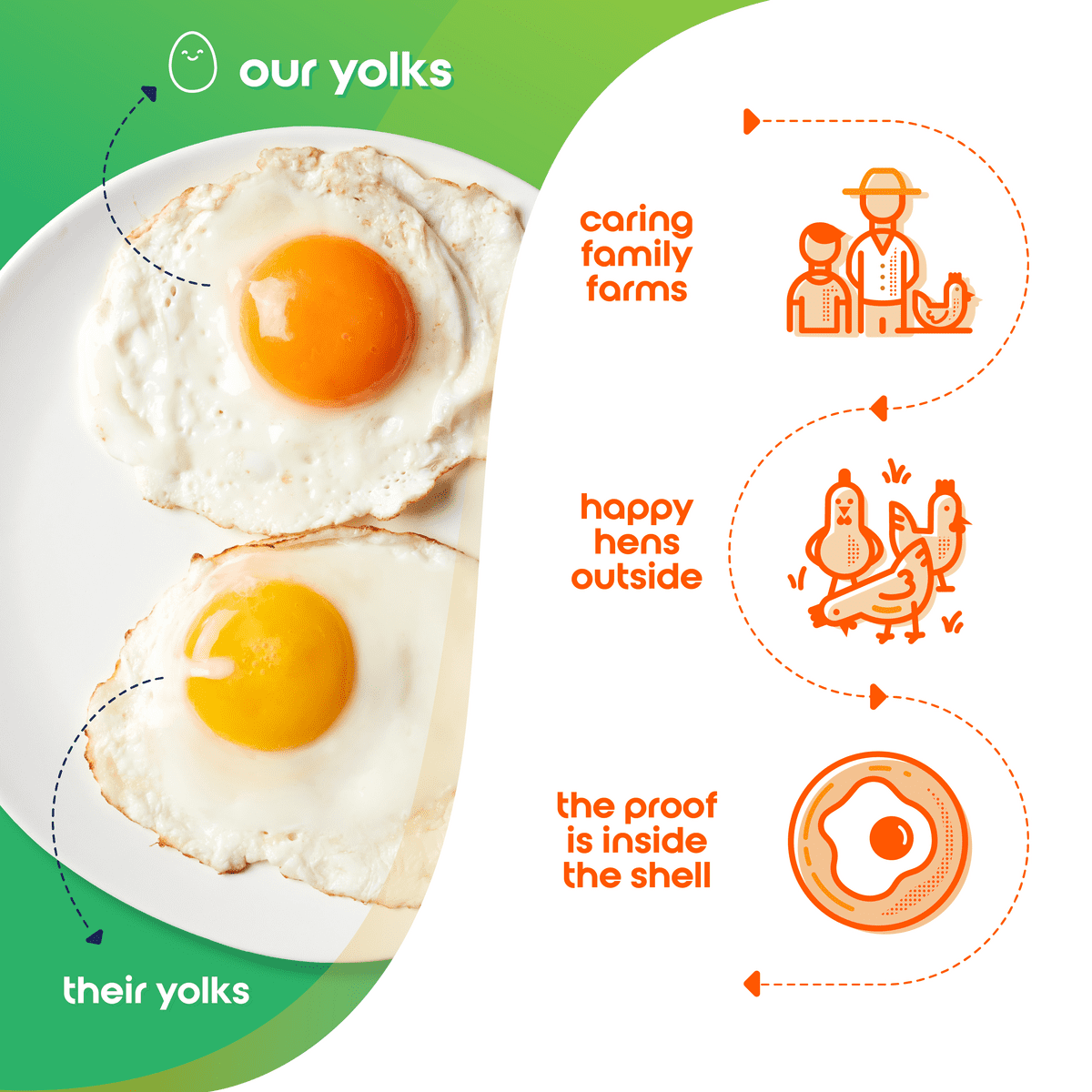 Happy Egg Co. Organic Free-Range Large Brown Eggs, 12 Count (Dozen)