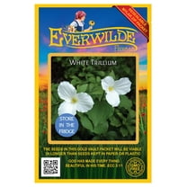 Everwilde Farms - 40 White Trillium Native Wildflower Seeds - Gold Vault Seed Packet