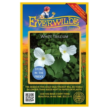 Everwilde Farms - 40 White Trillium Native Wildflower Seeds - Gold Vault Seed Packet