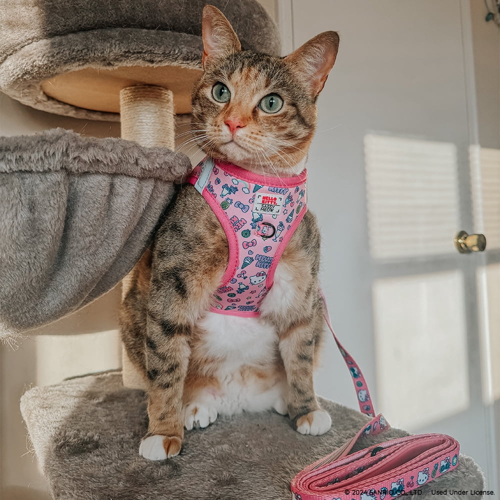 新品 SASSY MEOW サシーミャウ ハローキティ ハーネスXS リーシュ 新品 SASSY MEOW サシーミャウ ハローキティ ハーネスXS リーシュ