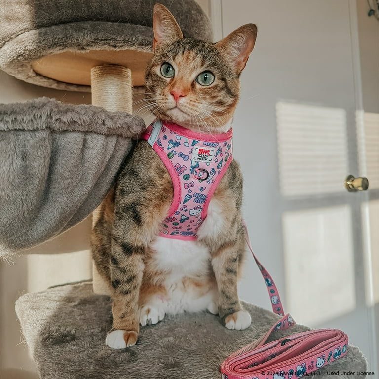 新品 SASSY MEOW サシーミャウ ハローキティ ハーネスXS リーシュ 予約