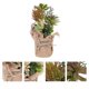 thumbnail image 4 of Planta suculenta artificial, decoración paisajística, adorno, planta en maceta vívida, 4 of 5