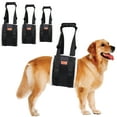 thumbnail image 4 of Dog Support Belt Foldable Design Comfort Gripping Handle Adjustable Strap For Small to Large Dogs Walking Training, 4 of 9