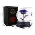 thumbnail image 3 of Rosa Eterna, Flor Preservada, Rosa Fresca, Caja de Regalo Hecha a Mano, Rosa en Cúpula con Luz LED, para Niñas y Mujeres, para Cumpleaños, Día de la Madre, San Valentín, Aniversario, Navidad, 3 of 5