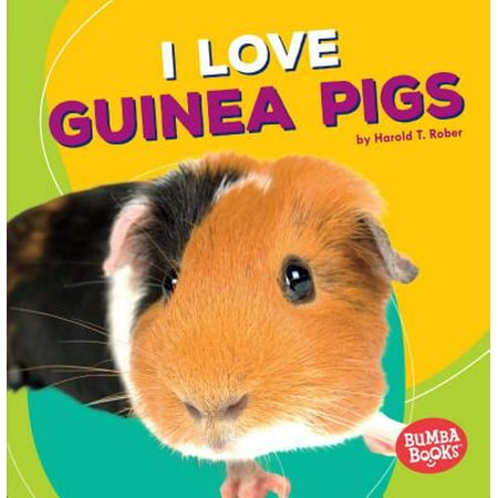 I Love Guinea Pigs (Best Pigs To Have As Pets)