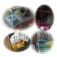 thumbnail image 4 of Pet Feeding Bowl Squirrels Feeder Water Bowl Rabbits Feeding Supply Food Container, 4 of 13