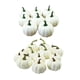 thumbnail image 1 of : 20 Calabazas Artificiales Blancas para Bricolaje, Otoño, , Minicalabazas para Boda de Halloween: Arte, Manualidades Y Costura Macarena calabazas blancas, 1 of 8