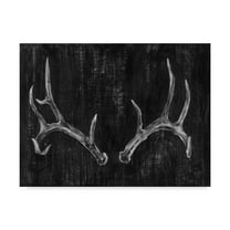 Trademark Fine Art 'UA CH Rustic Antlers II' Canvas Art by Ethan Harper