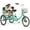 Light Green, variant on DEYGIA 20" Adult Tricycle with Rear Seats, 3-Wheel Bikes, Baskets, for Senior