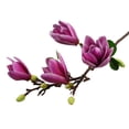 thumbnail image 6 of Girlsshop Simulated 4-Head Magnolia Single Branch Magnolia Orchid Home Decoration,Dark Purple, 6 of 8