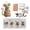 C #060, variant on Patchwork Mouse DIY Kit Handmade Sewing Craft Set with Floral Fabric Pattern & Instructions Complete Felt Stuffed Animal Creative Beginner-Friendly Hobby Project for Home Decor Gift Making