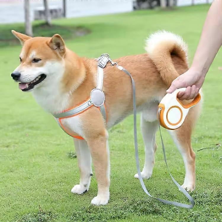 New Retractable Dog Leash Tangle Free |   16ft Strong Nylon Tape |   One Handed Braking System |   Supports up to 30 kg / 65 lb |   180 °   Non Coiling-Grey