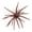 Brown#3, variant on Sea Urchin Bait, Reflective Star Sea Urchin Lure, Eye-catching Design to Draw Fish Quickly in Open Water (Army Green)
