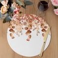 thumbnail image 3 of Burnt Orange Botanical Round 15 Inch Placemats Set of 4, Eucalyptus Leaves Pastoral Floral HeatResistant Non Slip Place Mats for Dining Table, Wipeable Braided Kitchen Table Mats for Housewarming, 3 of 9