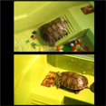 thumbnail image 4 of Plataforma de secado verde con caja de alimentación for tortugas con separación de lo seco y lo húmedo., 4 of 5