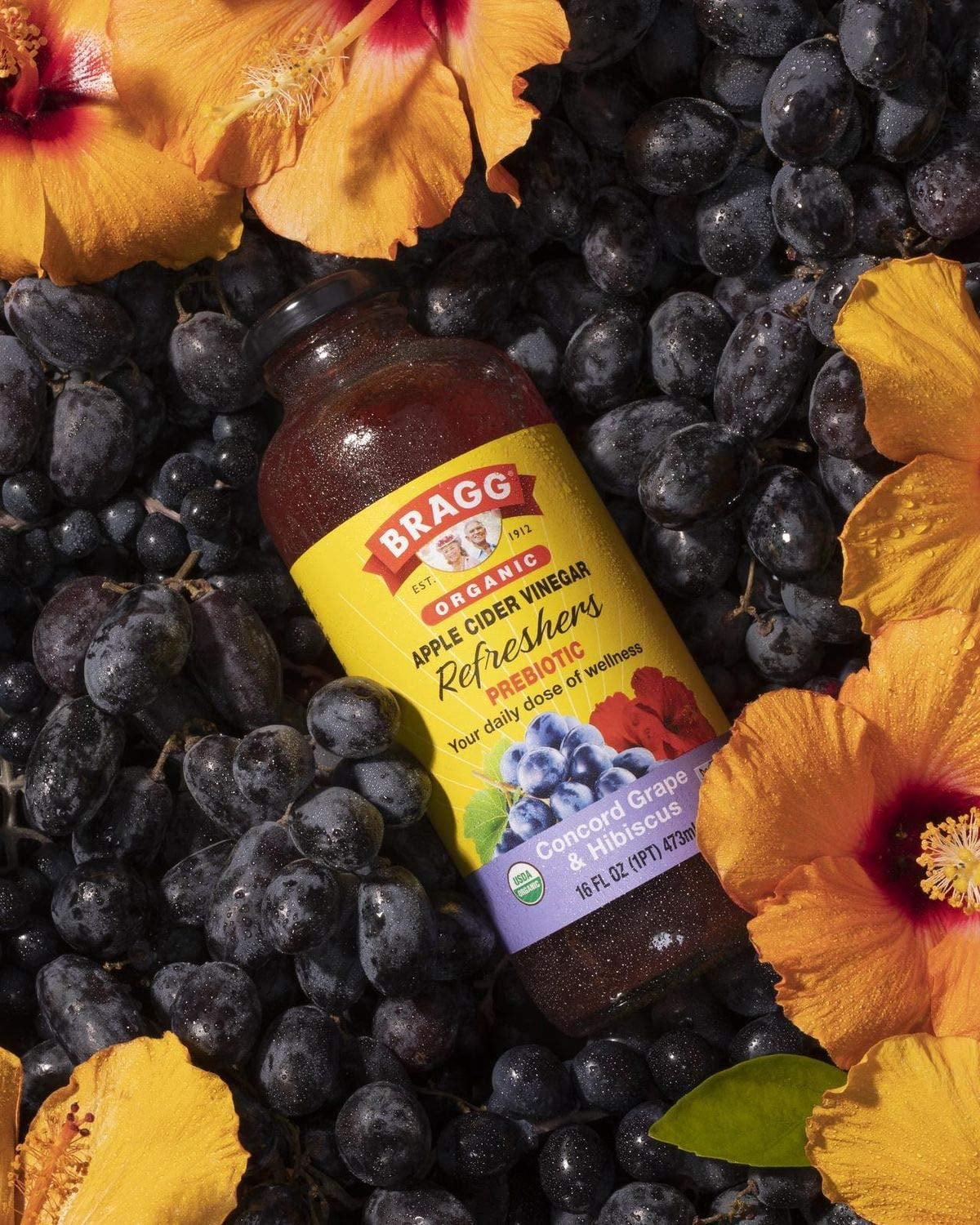 (Pack Of 12) Bragg Beverage Organic Apple Cider Concord Grape and Hibiscus 16 Oz