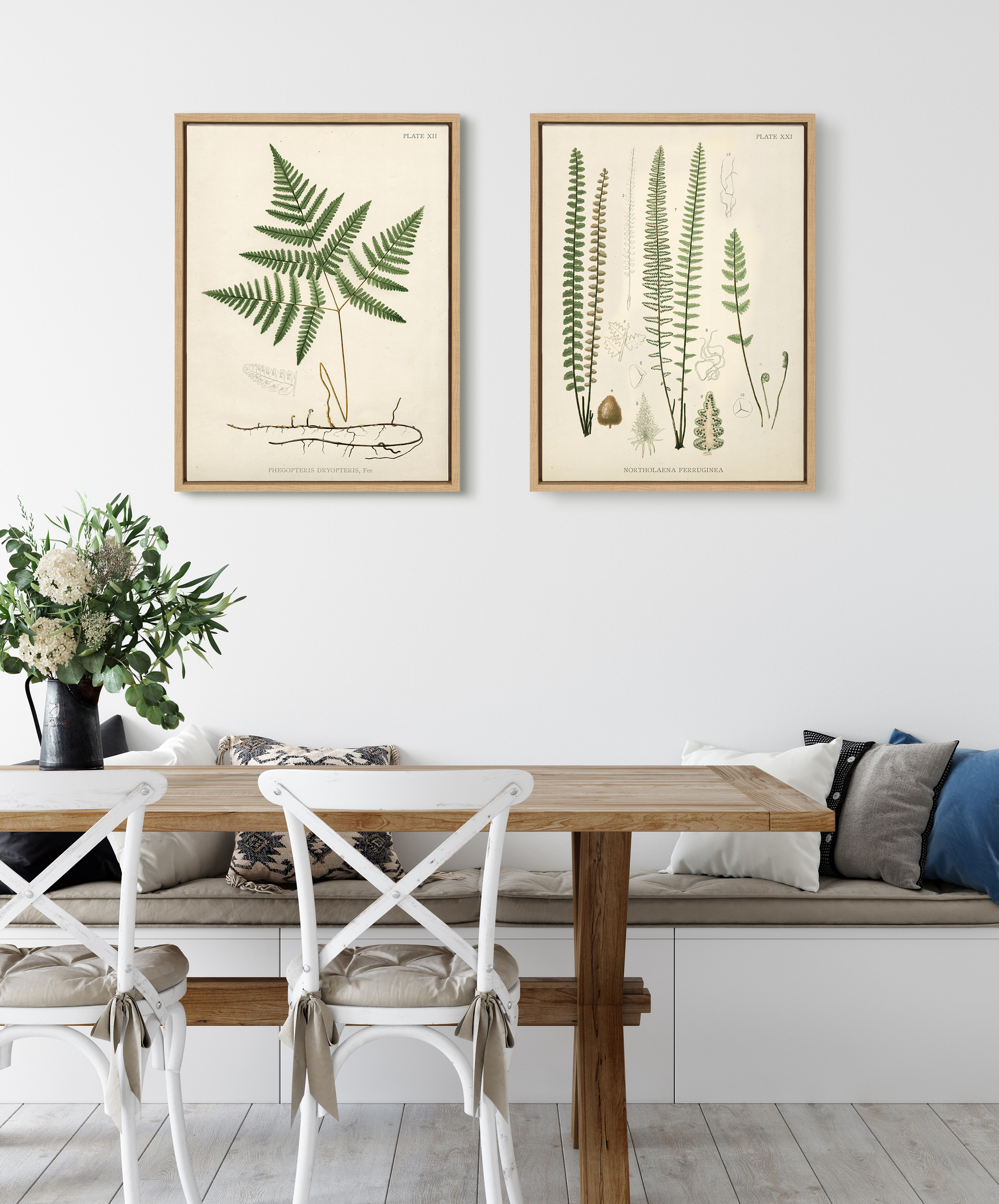 Kate and Laurel Plants Framed Canvas Art Print, 18" x 24", Set of 2, by Corinna Buchholz of Piddix