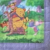 Winnie the Pooh 'Pooh's Grand Day' Small Napkins (16ct)