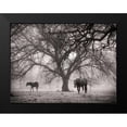 thumbnail image 2 of Van Swearingen, Debra 24x19 Black Modern Framed Museum Art Print Titled - Morning Calm II BW, 2 of 5