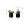 thumbnail image 4 of Indoor Plants Artificial Plant, 7" Tall, Succulent, Indoor, Faux, Fake, Table, Greenery, Potted, Set Of 2, Decorative, Green Plants, Glossy Black Pots,Artificial Flowers, 4 of 4
