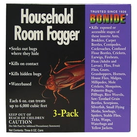 Raid Bed Bug And Flea Killer 17 5 Ounce Walmart Com Walmart Com
