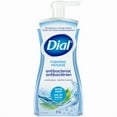 thumbnail image 1 of Dial Antibacterial Foaming Hand Wash, Spring Water, 221ml, 1 bottle, 221ml, 1 of 5